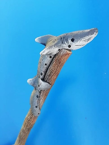 un crayon requin de profil