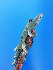 un crayon crocodile de profil