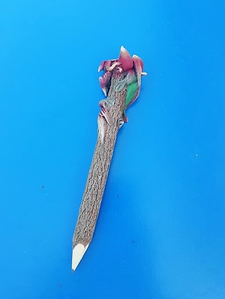 un crayon dragon rouge