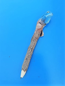 un crayon iguane bleu